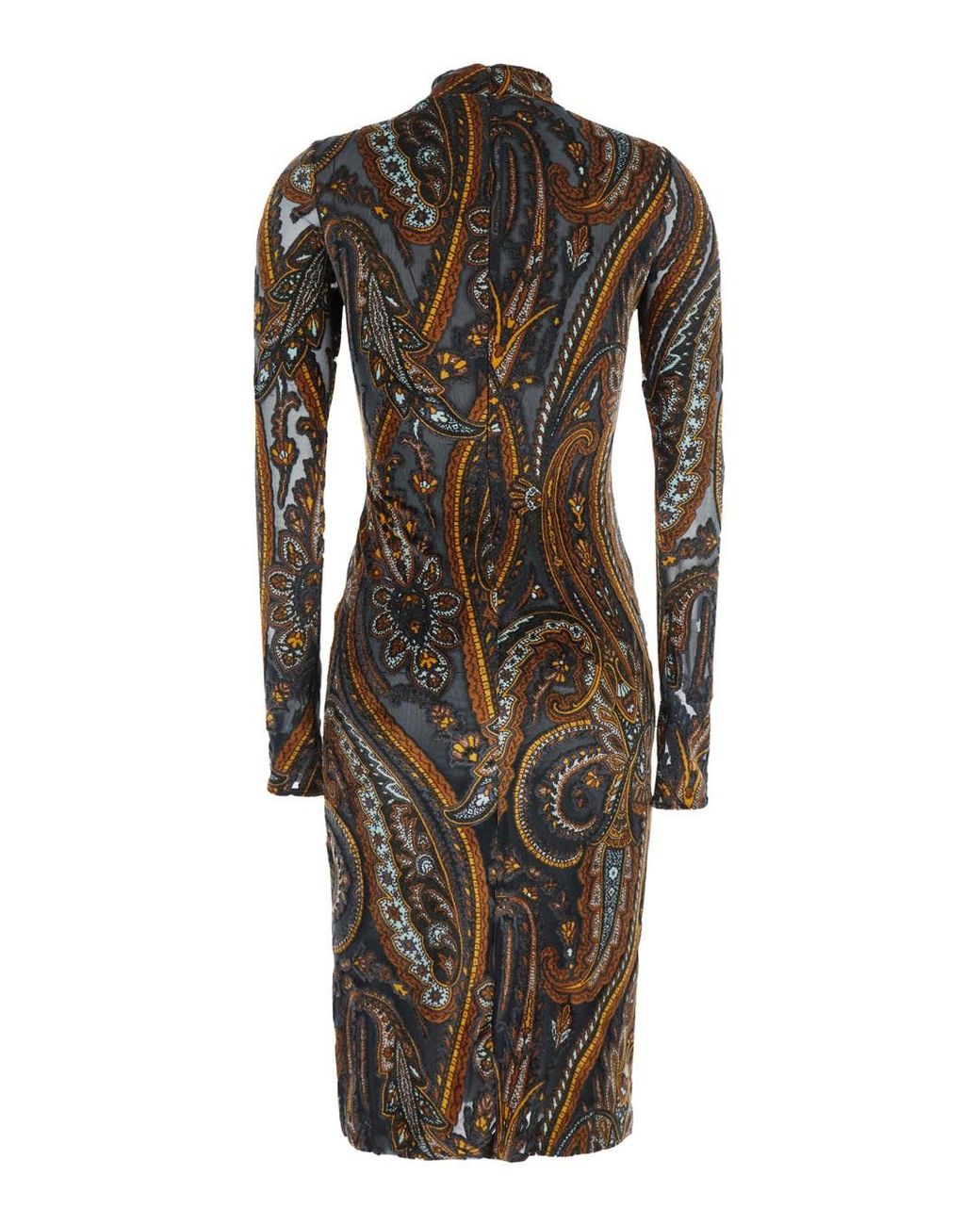 Etro Multicolor Etro Devoré Paisley Dress