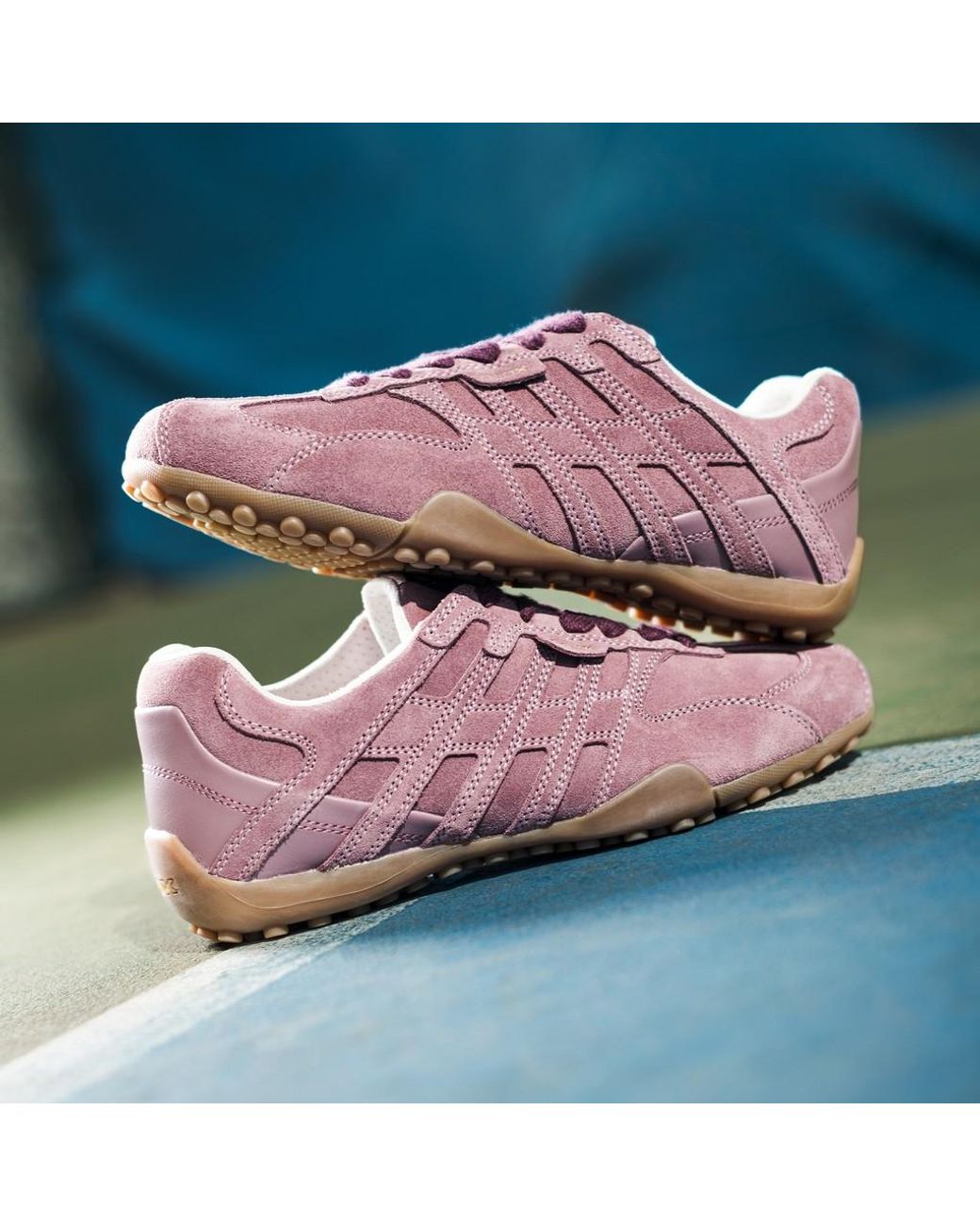 Geox Purple Snake