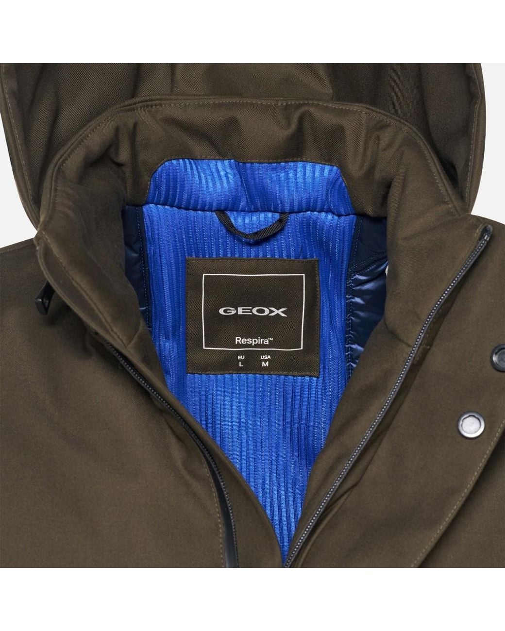 Geox Green Recanati for men