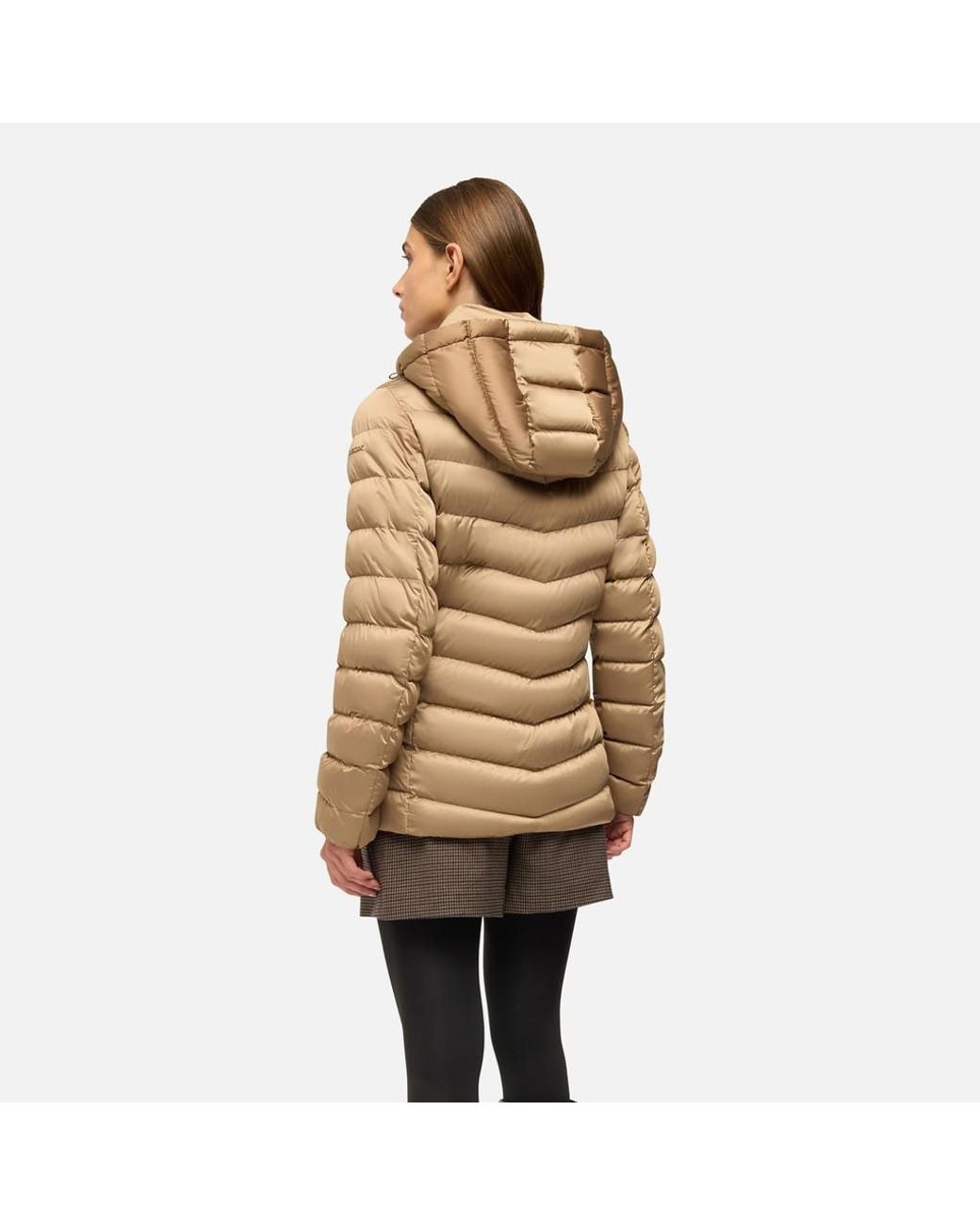 Geox Brown Zosma