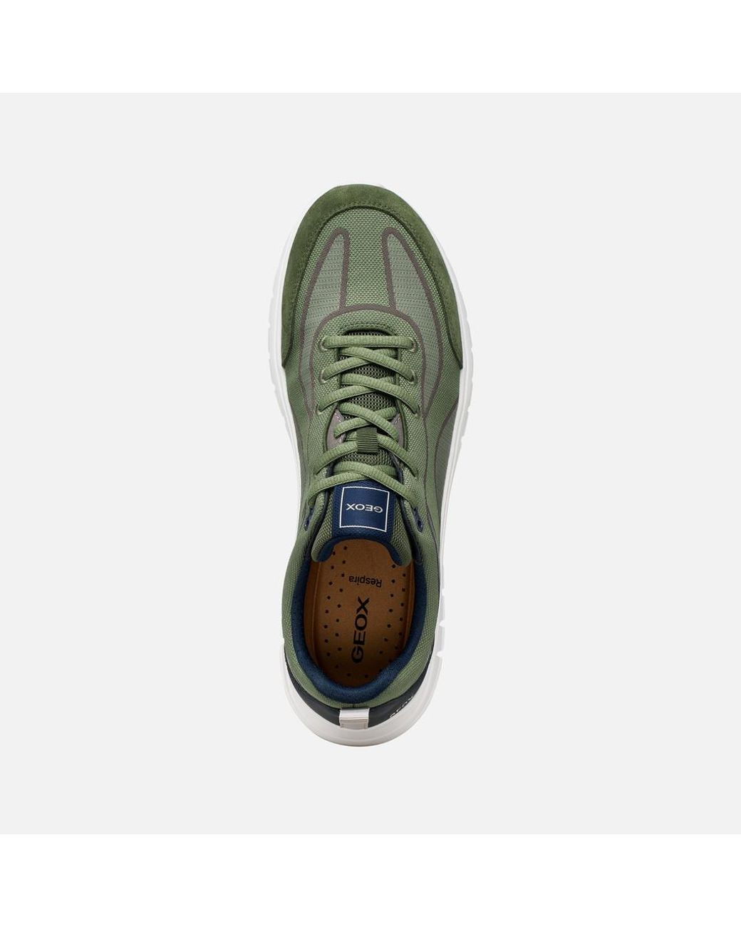Geox Green Flextride R for men