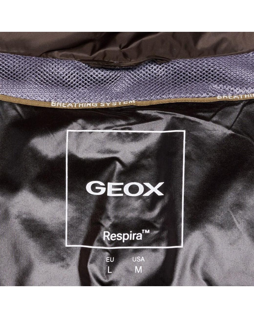 Geox Brown Warrens for men