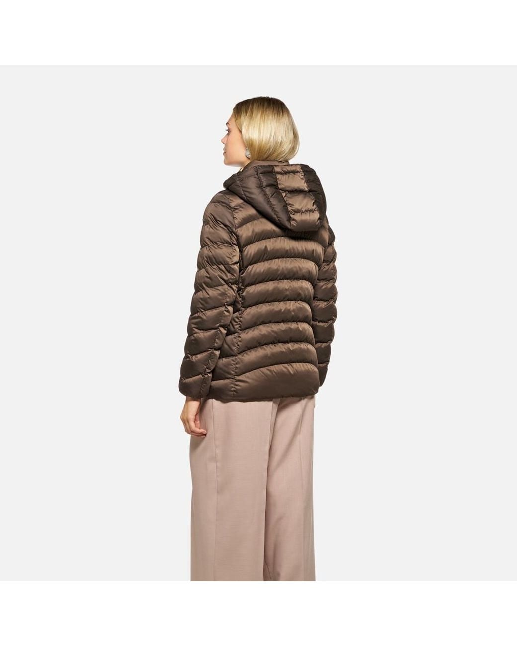 Geox Brown Zosma