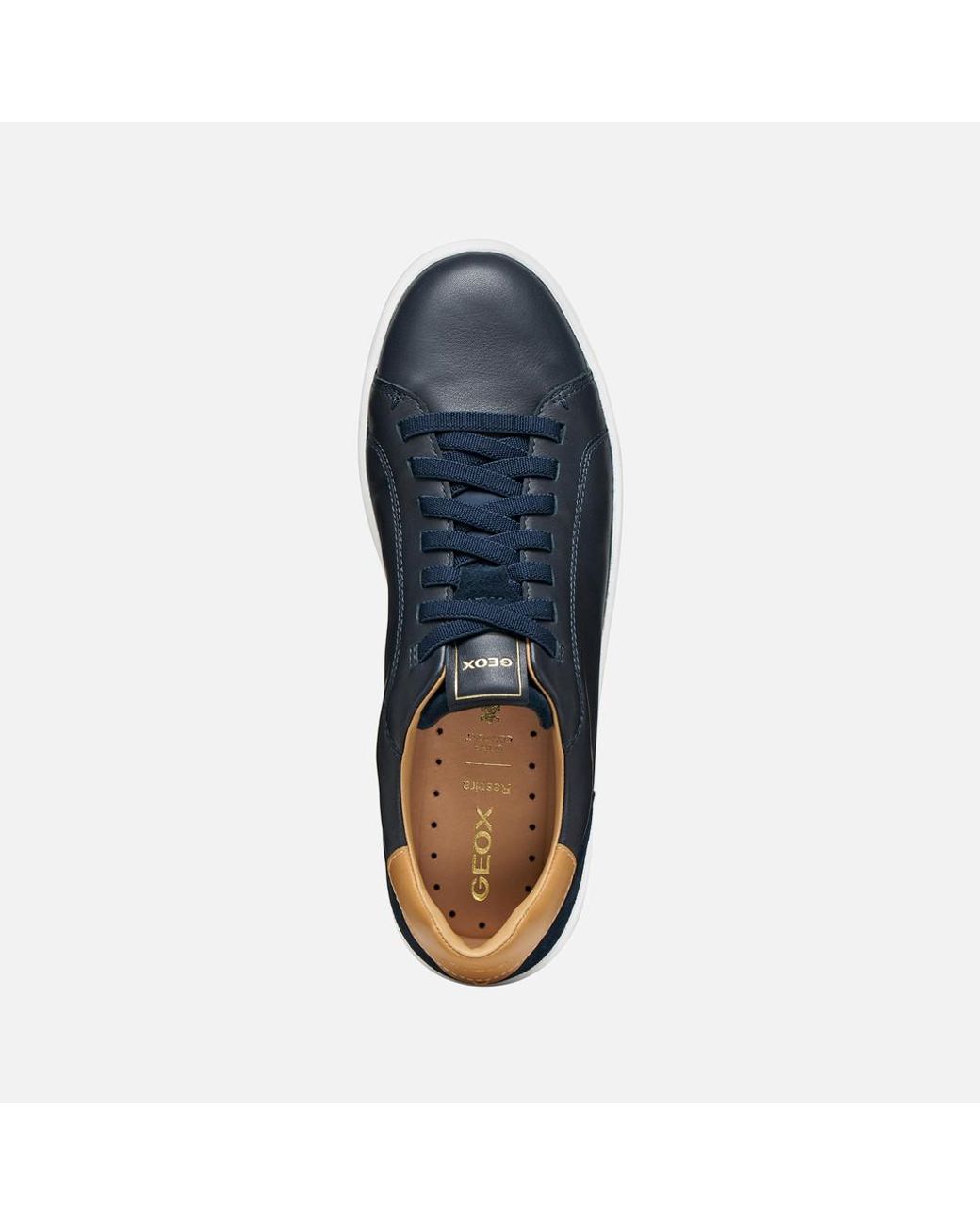 Geox Blue Spherica Ecub-1 B for men