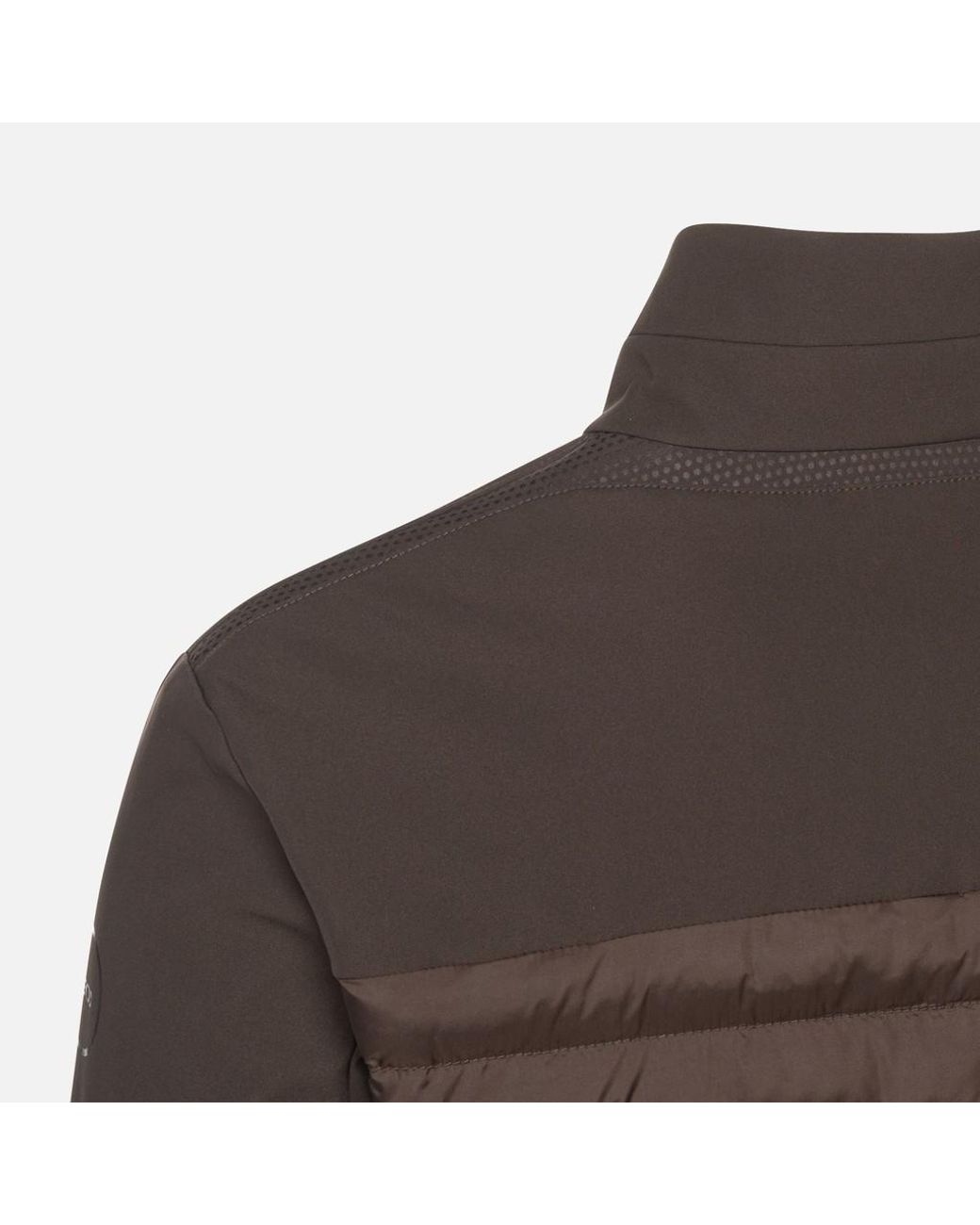 Geox Brown Spherica Coffee Bean/Coffee Bean for men