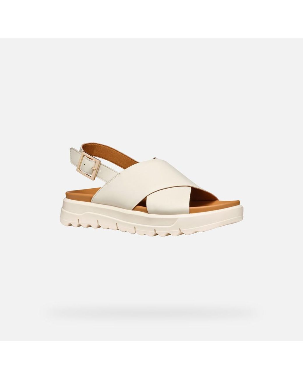 Geox Multicolor Xand 2.1S