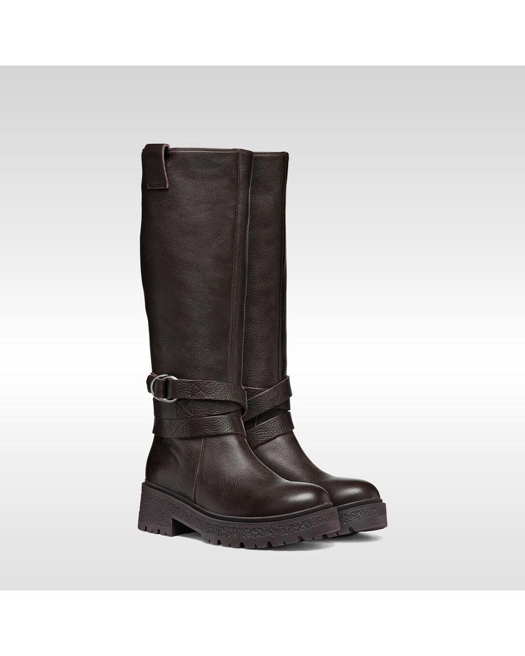 Geox Brown Eivette