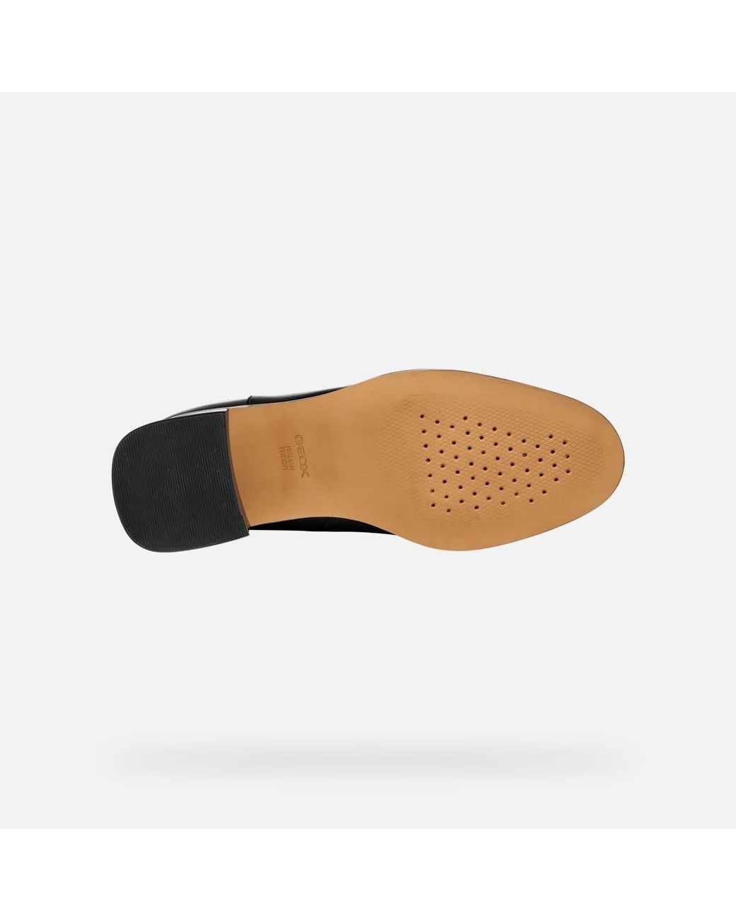 Geox Black Alnoire