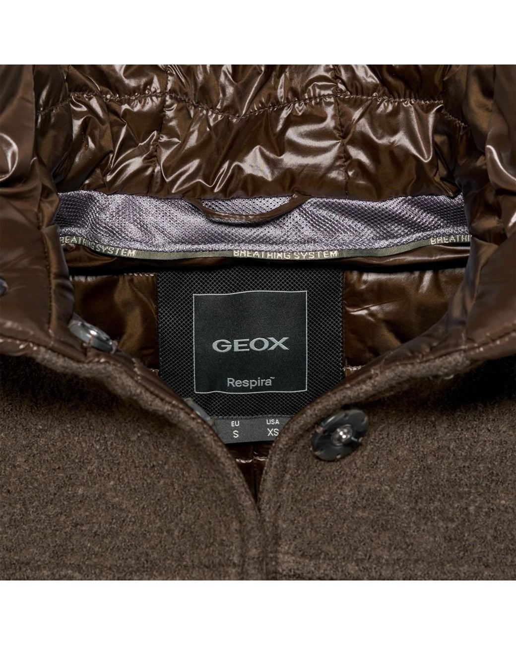 Geox Brown Kleopy
