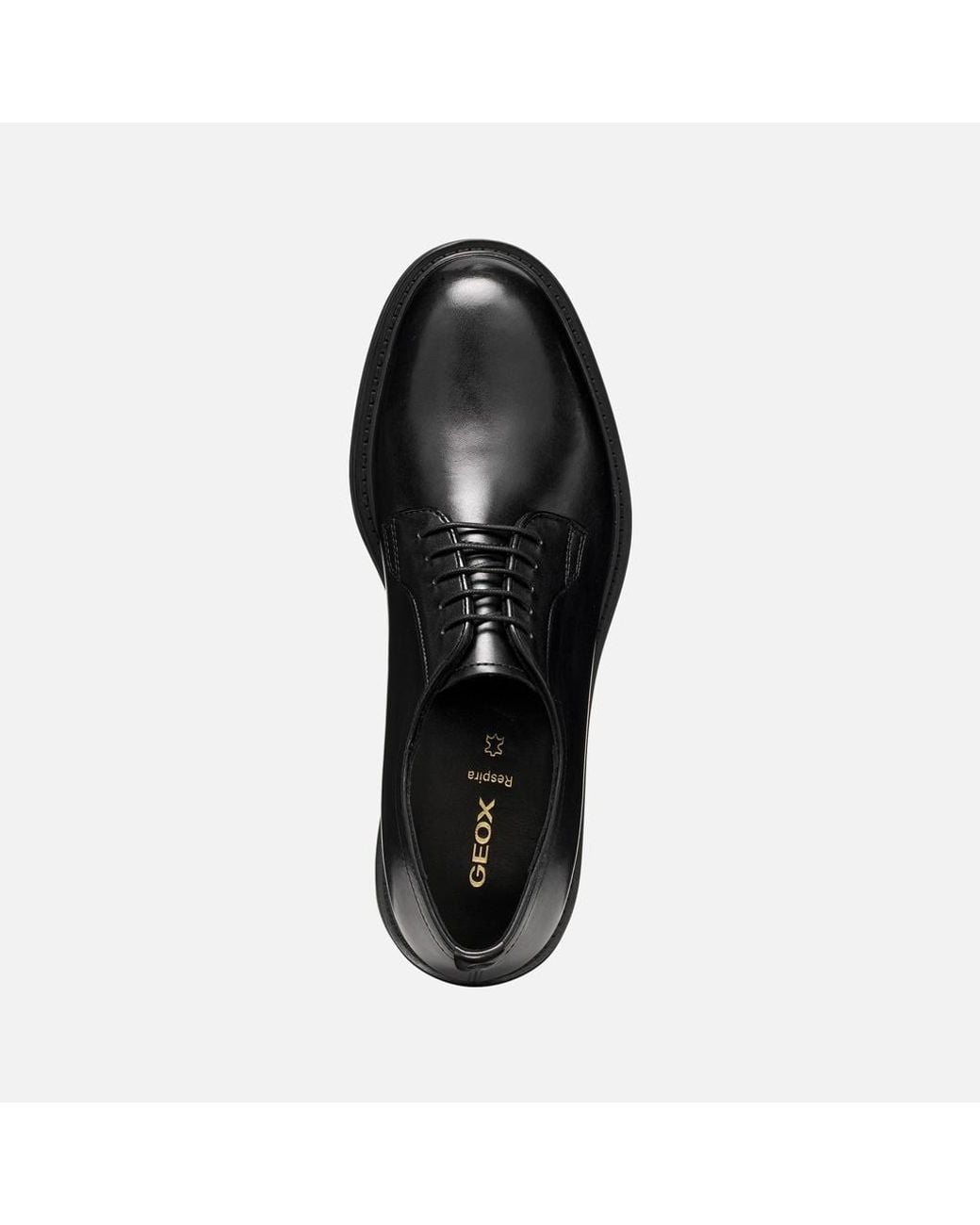 Geox Black Bexford for men