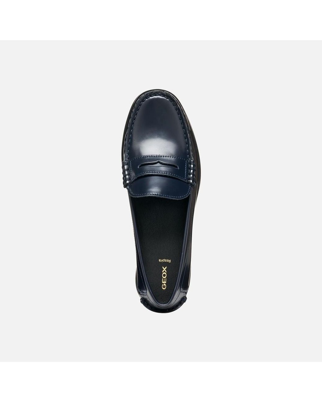Geox Blue Noemen