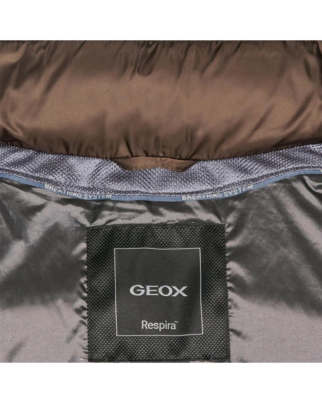 Geox Brown Zosma