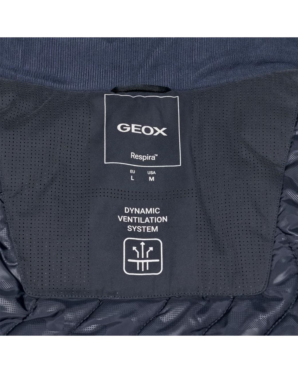 Geox Blue Jacopo for men