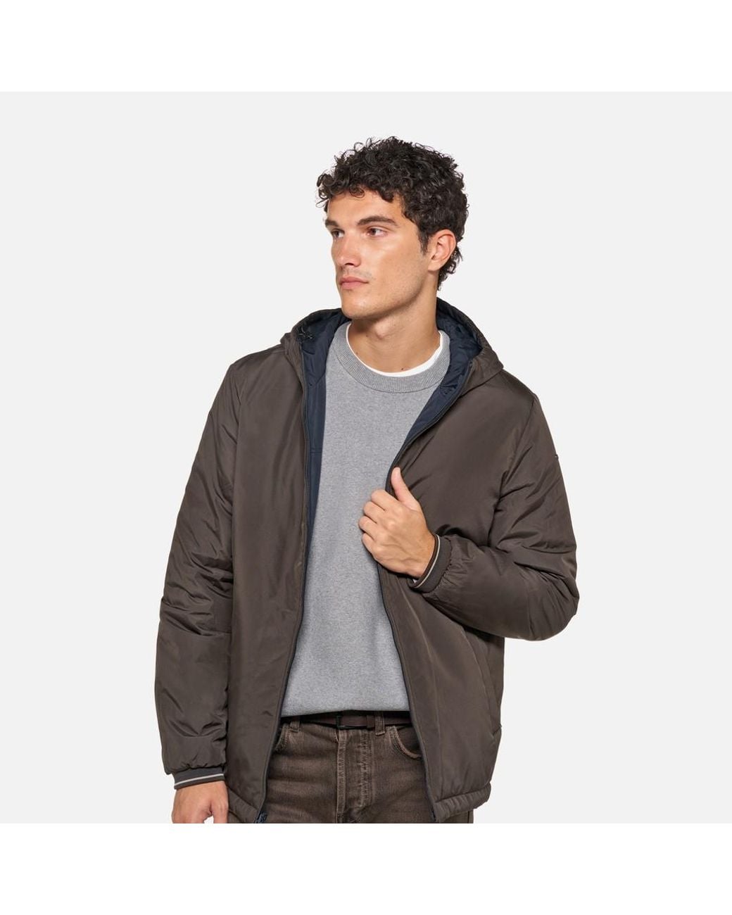 Geox Blue Jharrod Coffee Bean/Sky Captain for men