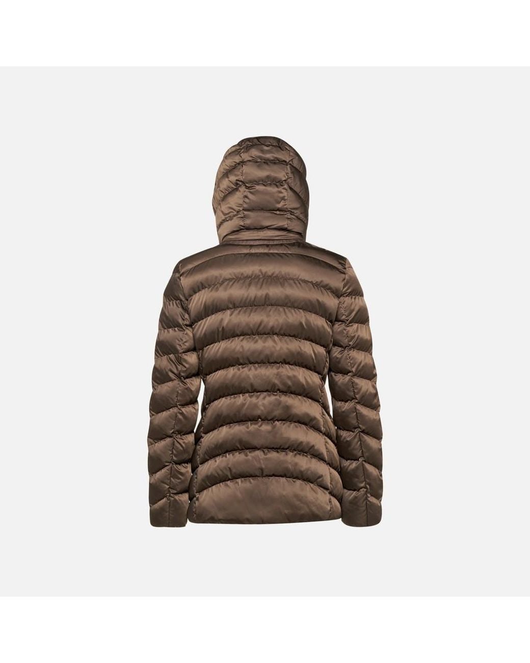 Geox Brown Zosma