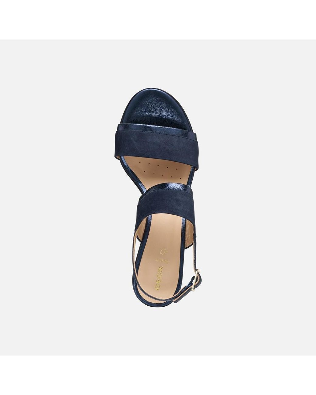 Geox Blue Aurely 50