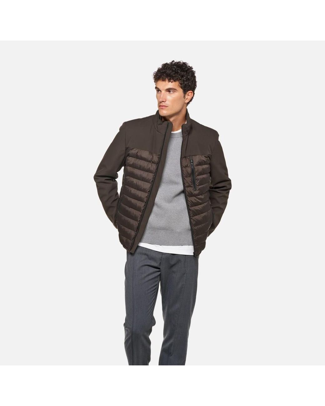 Geox Brown Spherica Coffee Bean/Coffee Bean for men