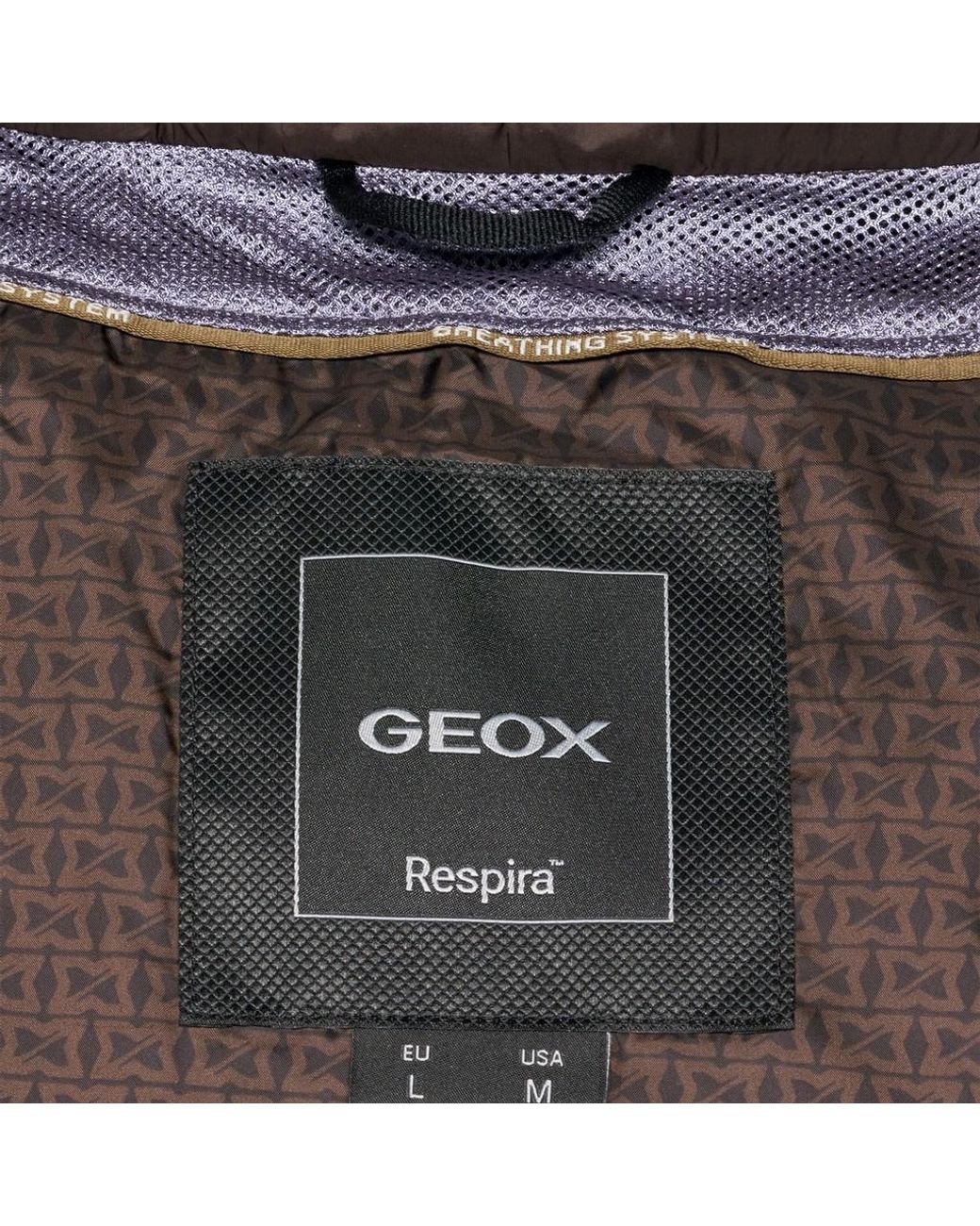 Geox Brown Wilmer for men