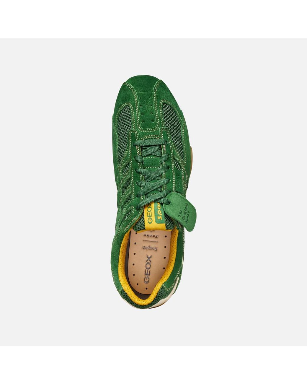 Geox Green Snake Original for men