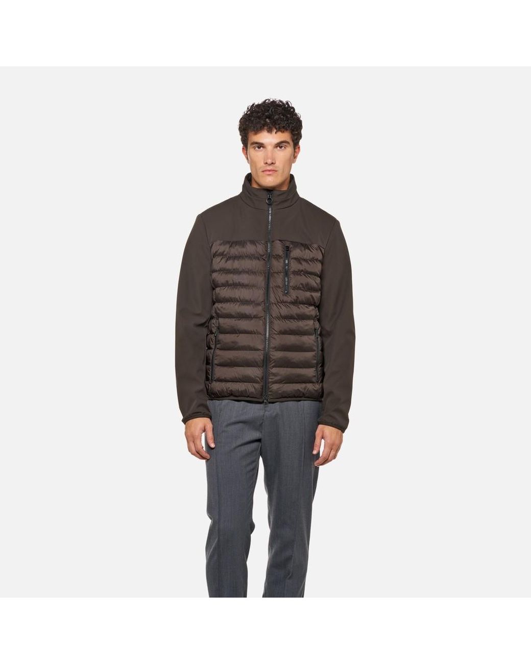 Geox Brown Spherica Coffee Bean/Coffee Bean for men
