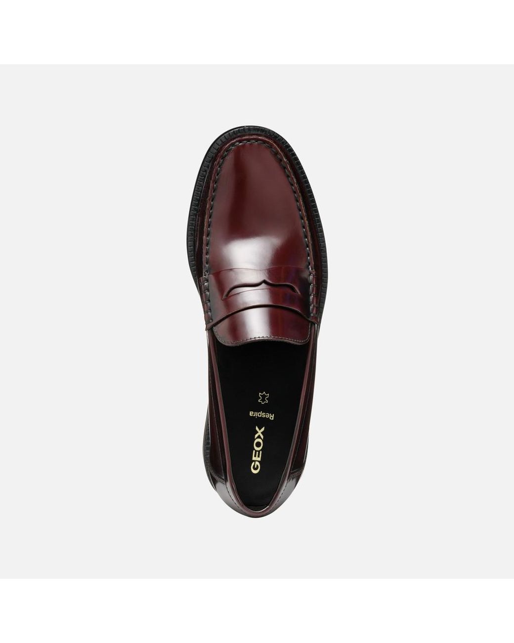 Geox Brown Recanati for men