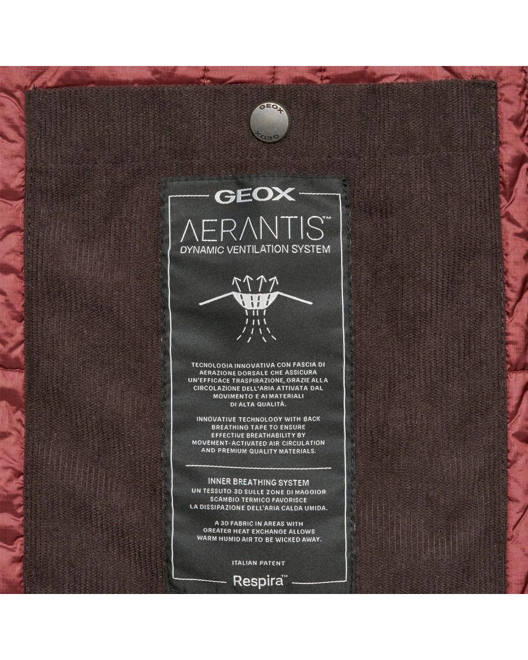 Geox Brown Graisy