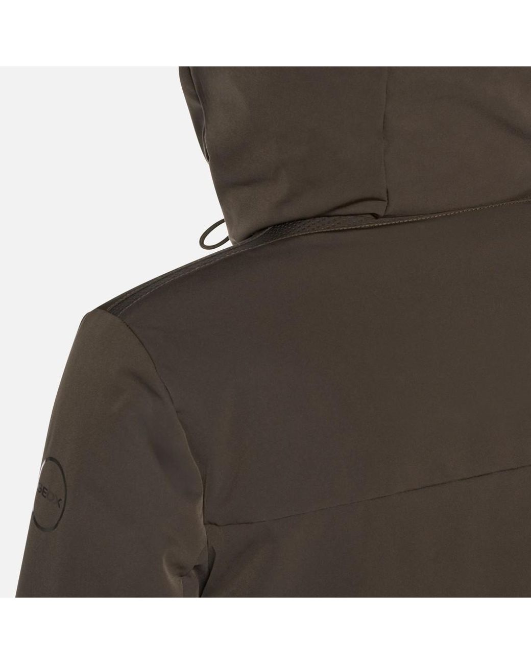 Geox Brown Spherica Delicioso/Delicioso