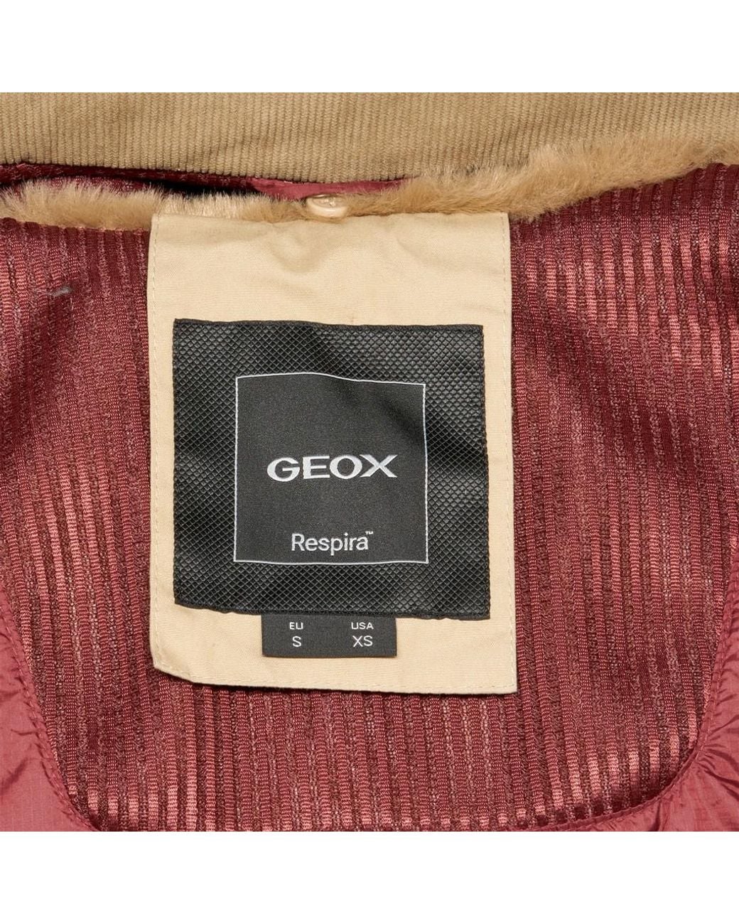 Geox Natural Graisy