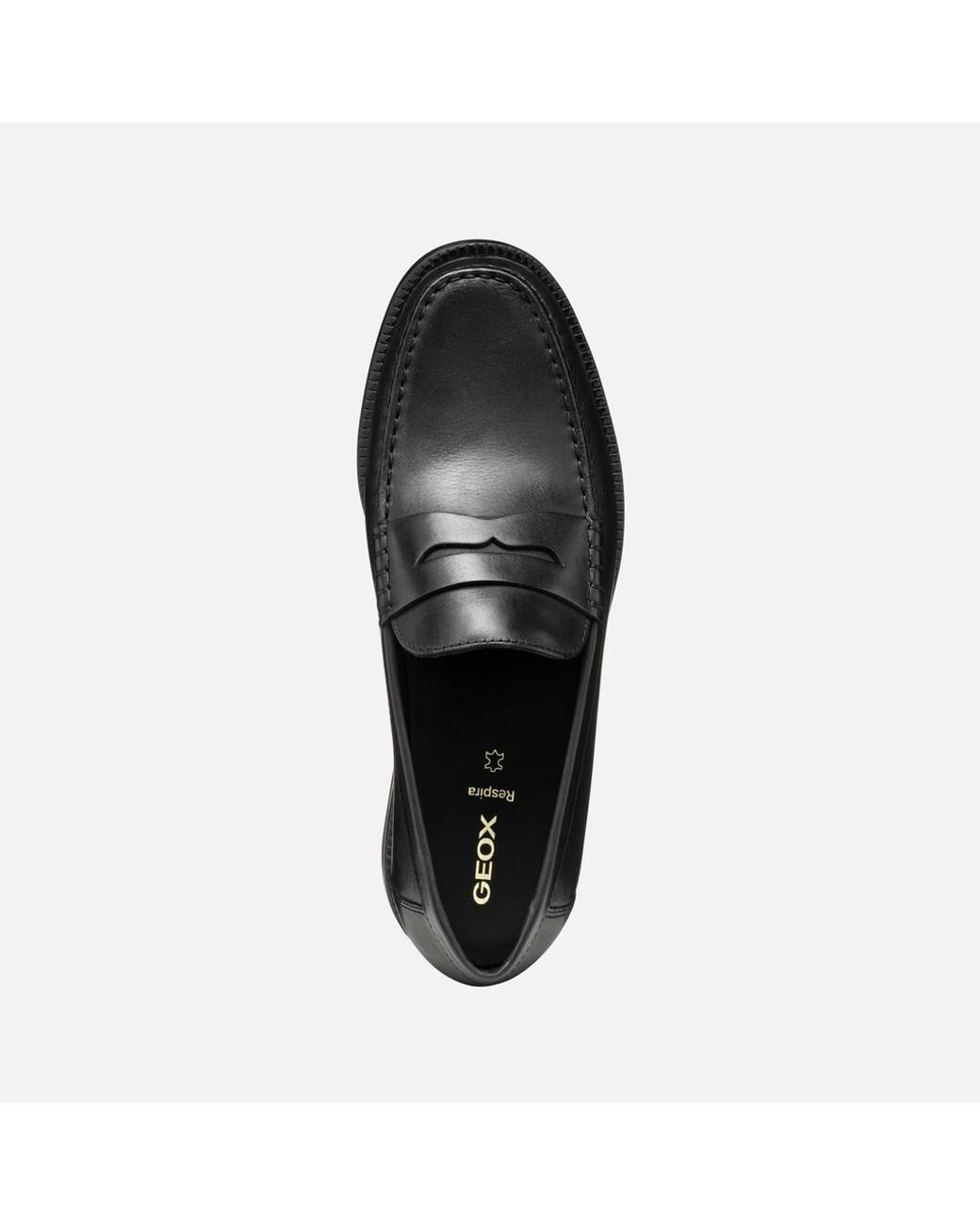 Geox Black Recanati for men