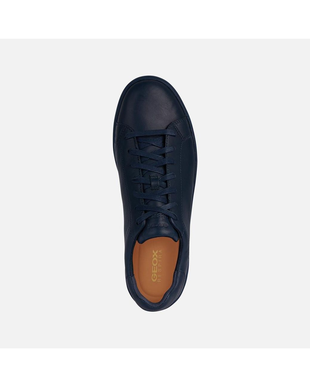 Geox Blue Spherica Ecub-1 for men