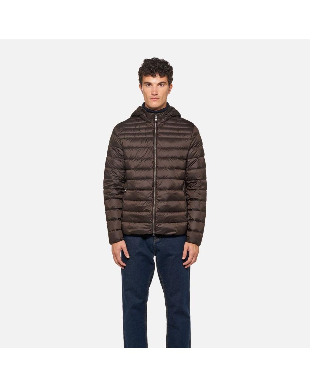 Geox Brown Warrens for men