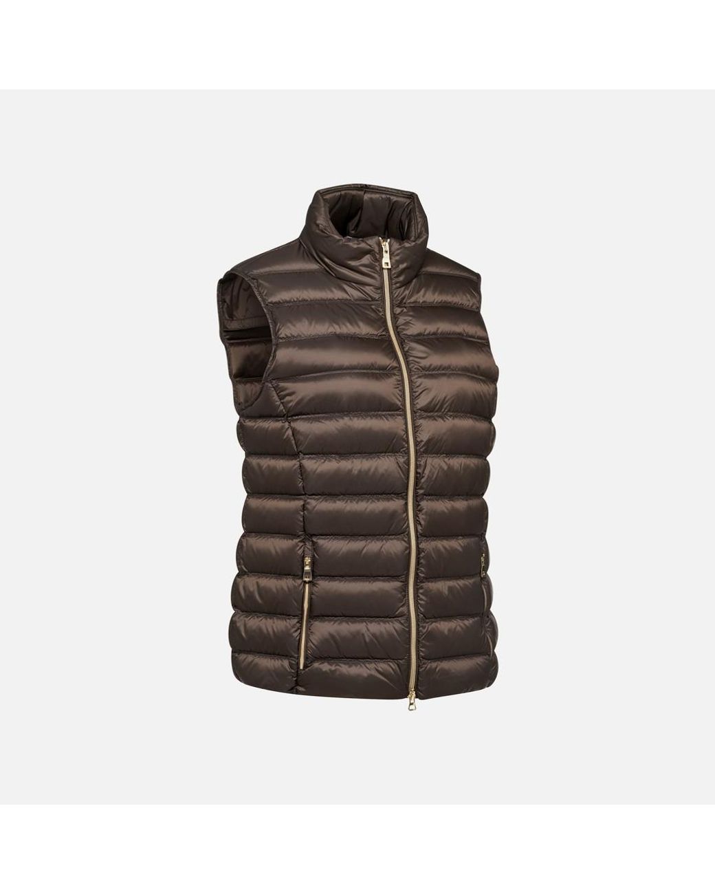 Geox Brown Jaysen