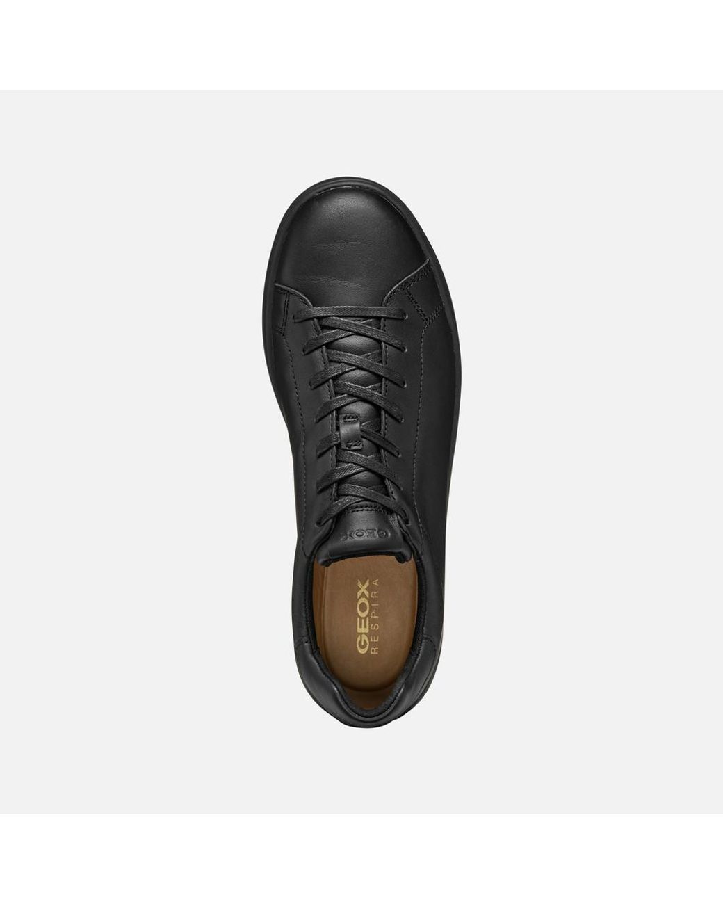 Geox Black Spherica Ecub-1 for men
