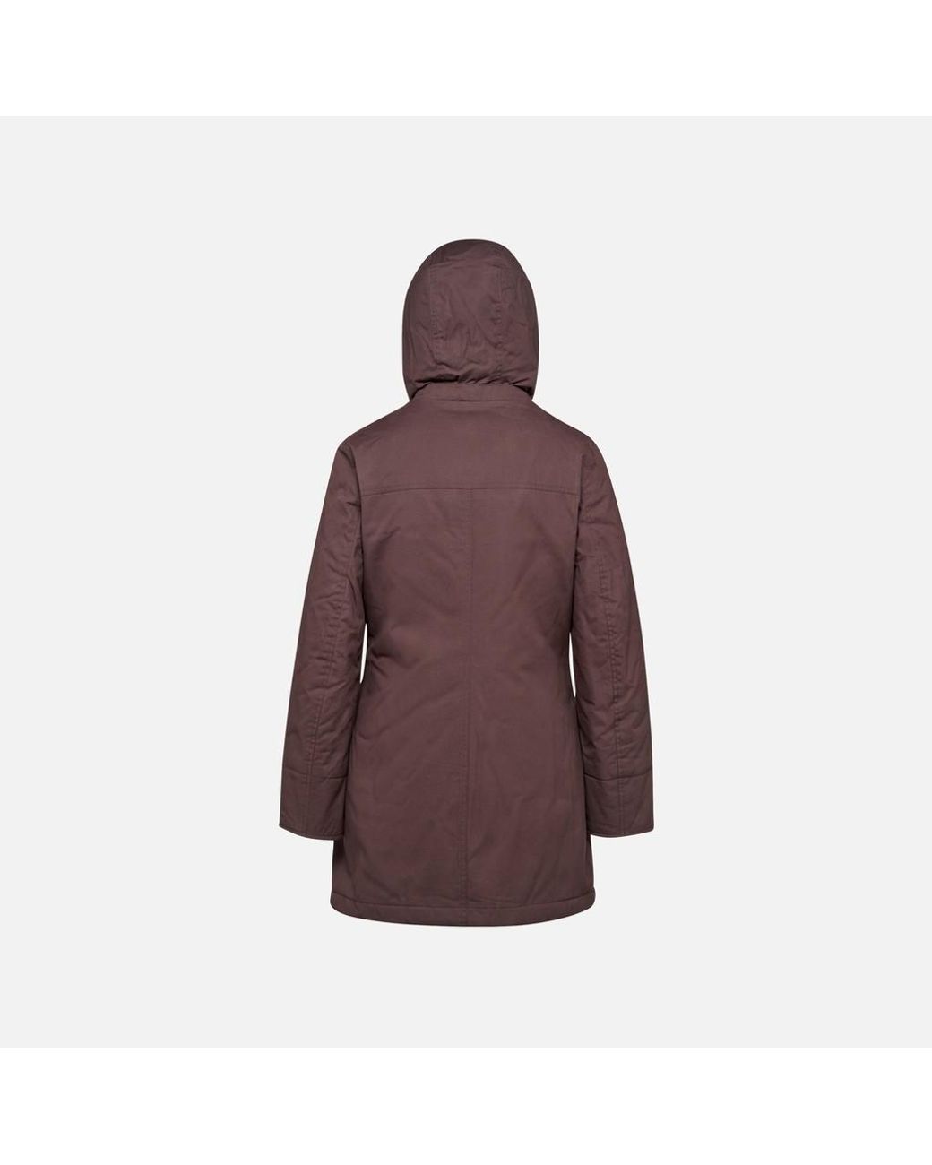 Geox Brown Graisy