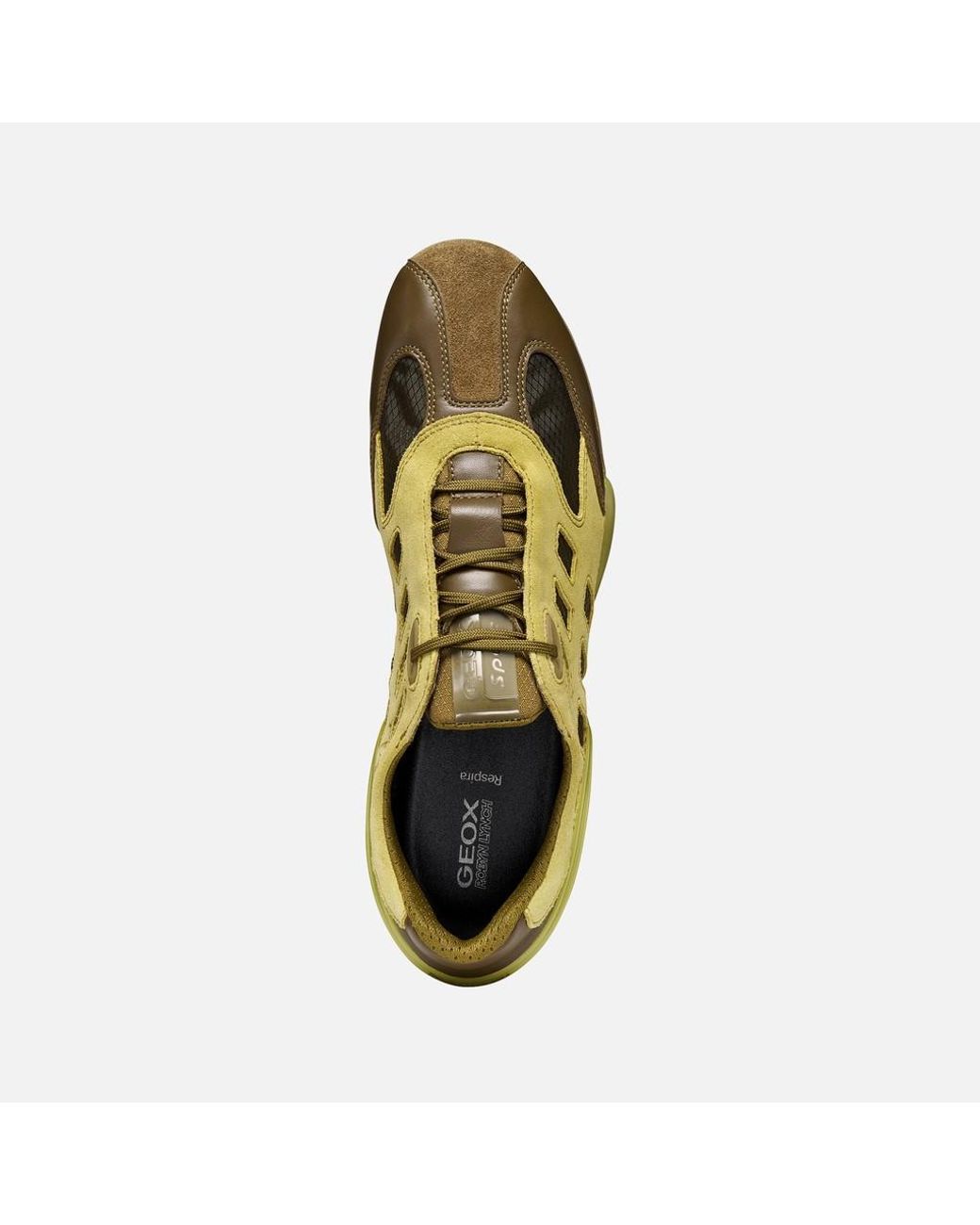 Geox Green Archive Snake for men