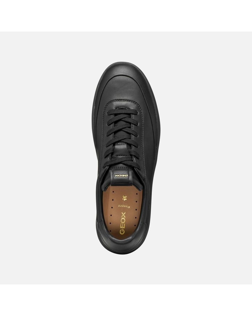 Geox Dynamia Herr in Black für Herren