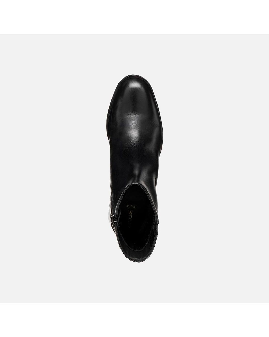 Geox Black Alnoire