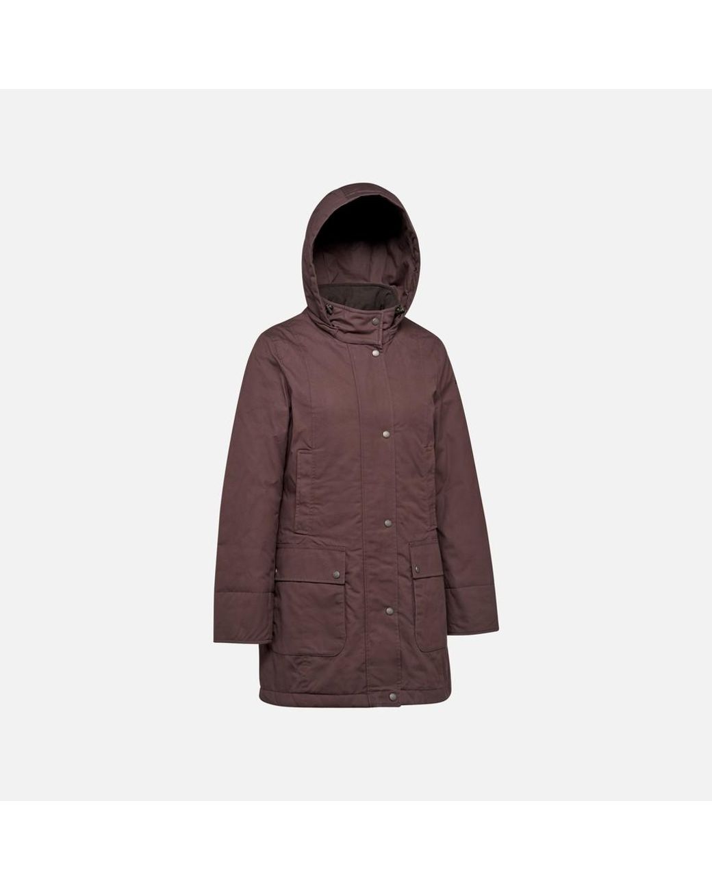 Geox Brown Graisy