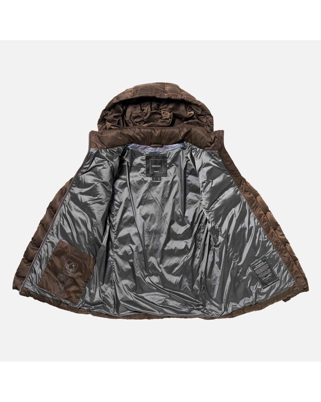 Geox Brown Zosma