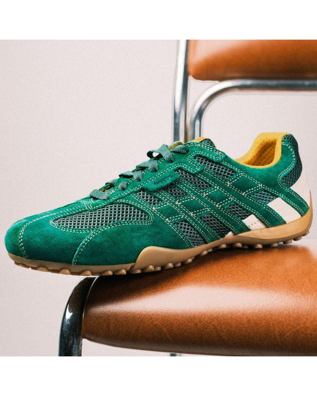 Geox Green Snake Original for men
