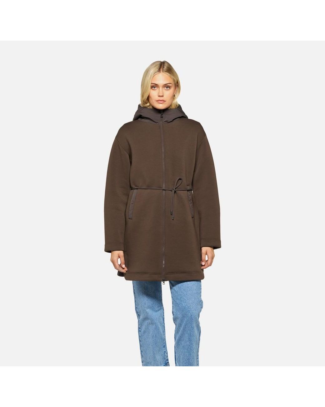 Geox Brown Sweater Delicioso/Delicioso