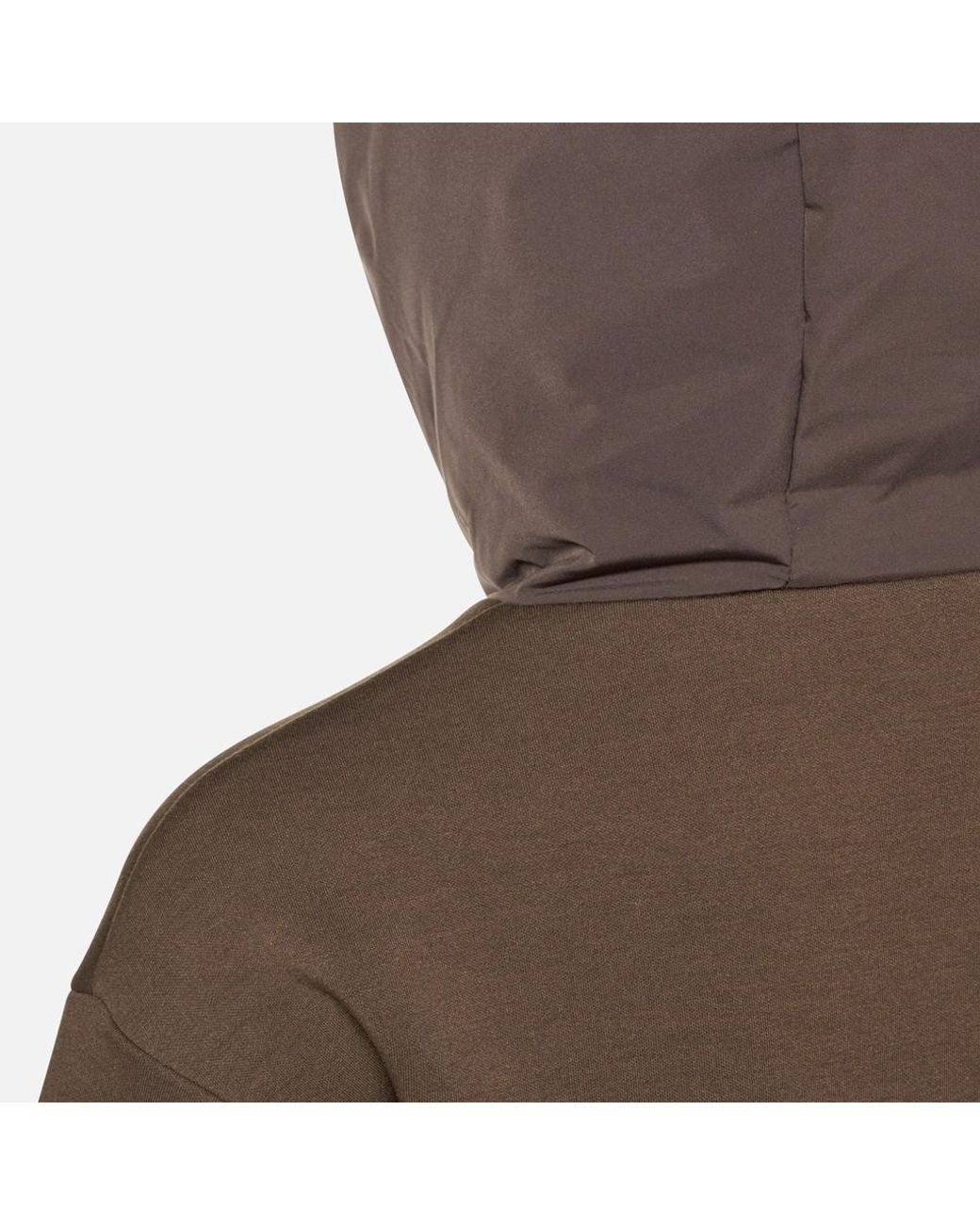 Geox Brown Sweater Delicioso/Delicioso