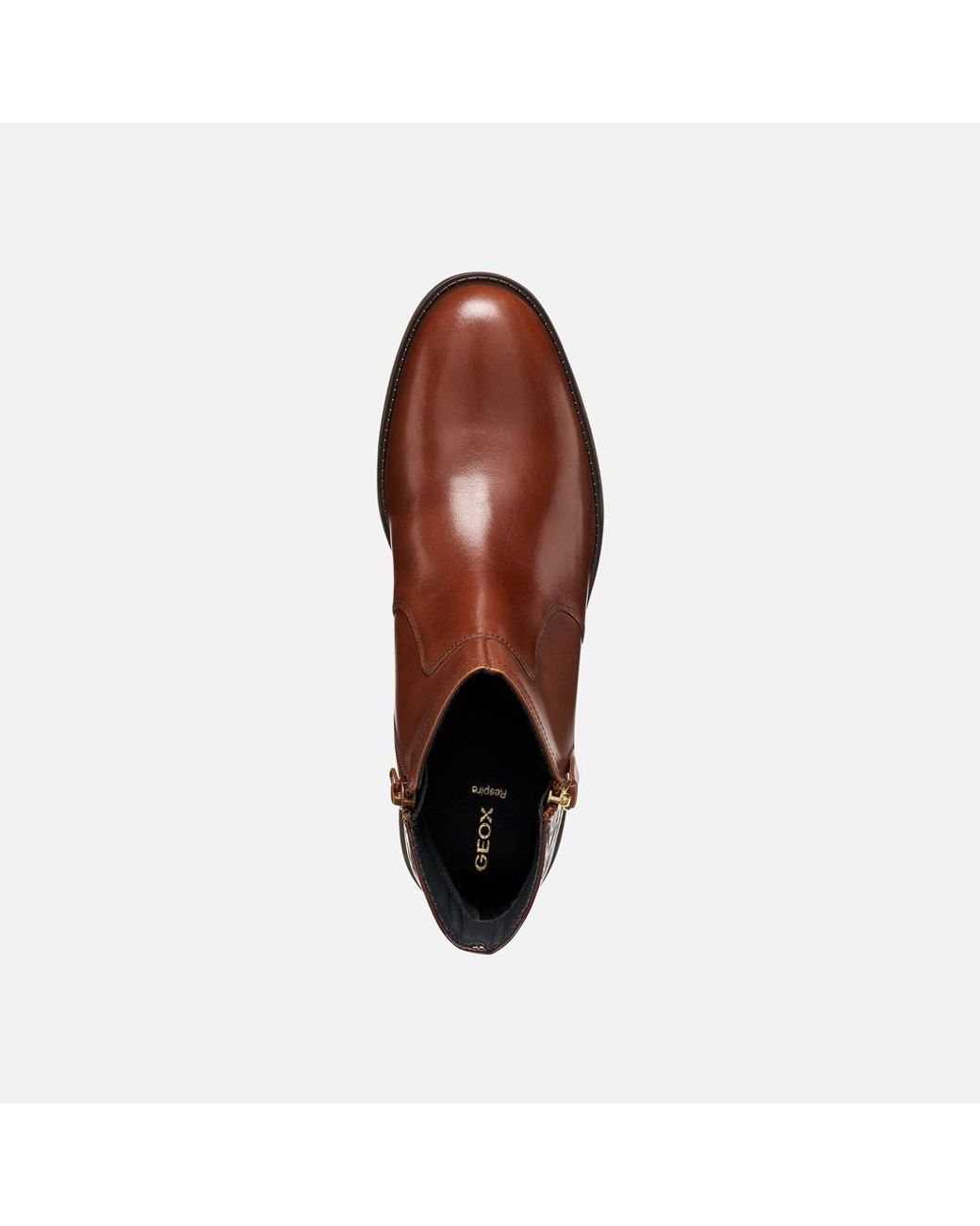 Geox Brown Esmeena