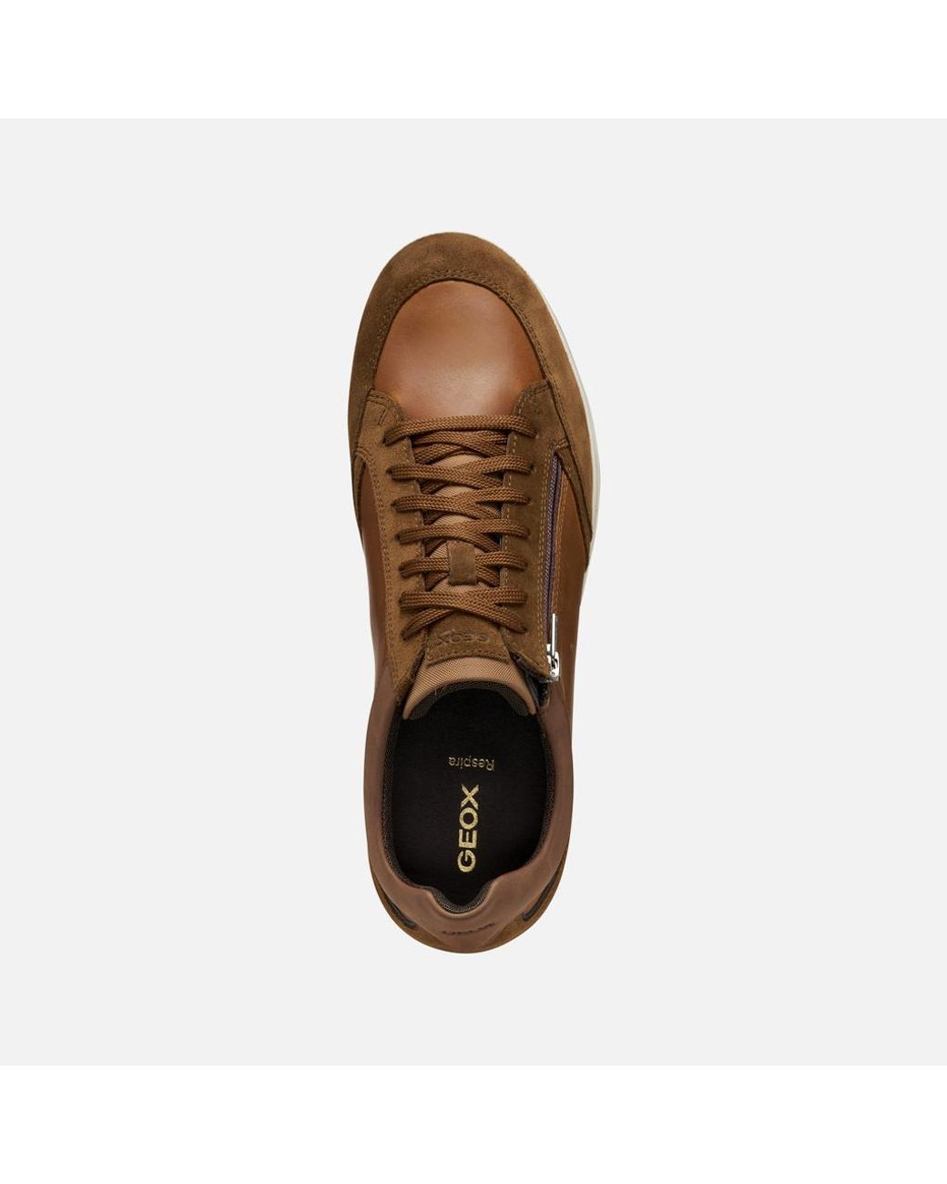 Geox Brown Renan for men