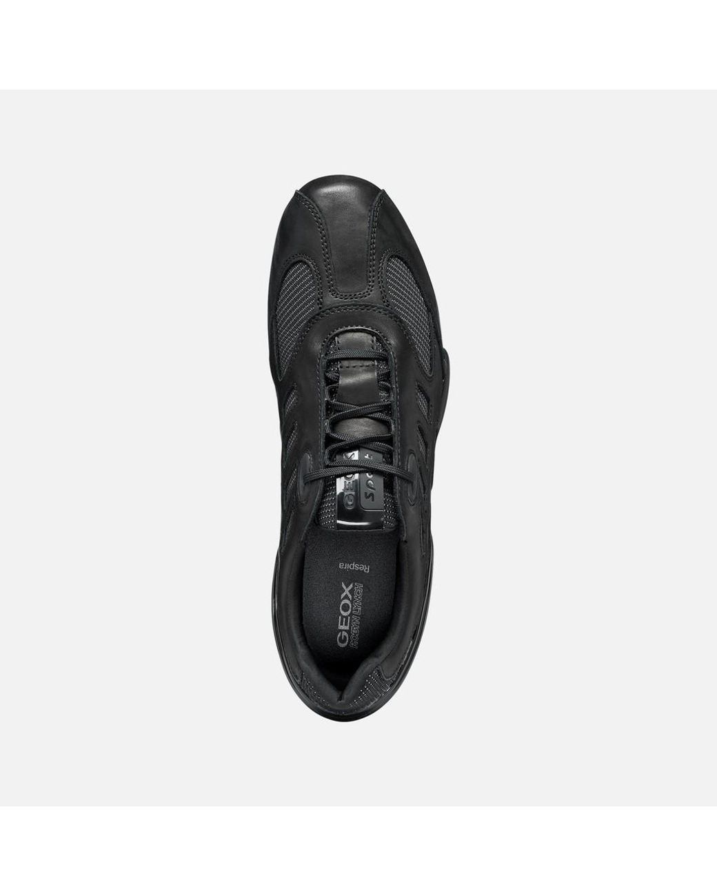 Geox Black Archive Snake for men