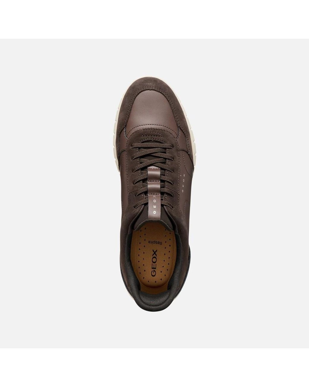 Geox Flextridezero Plus Herr in Brown für Herren
