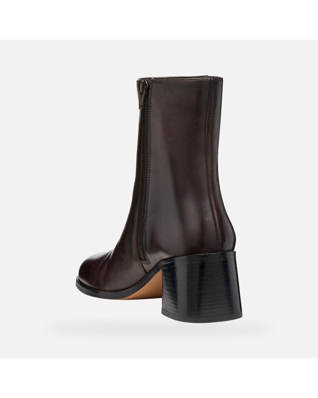 Geox Brown Alnoire