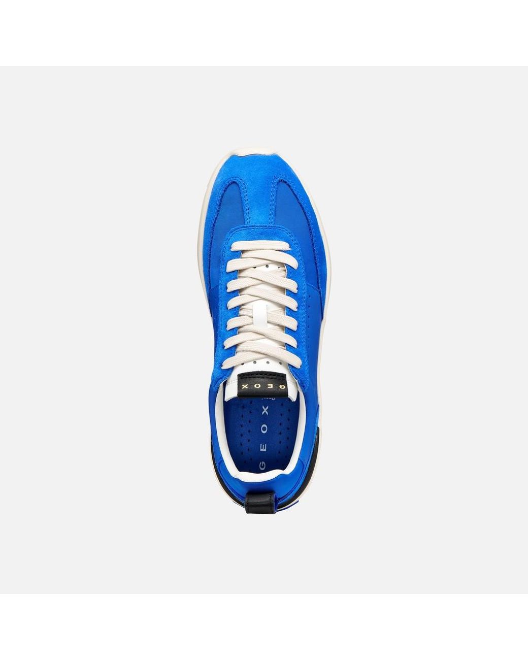 Geox Blue Gxrn-02
