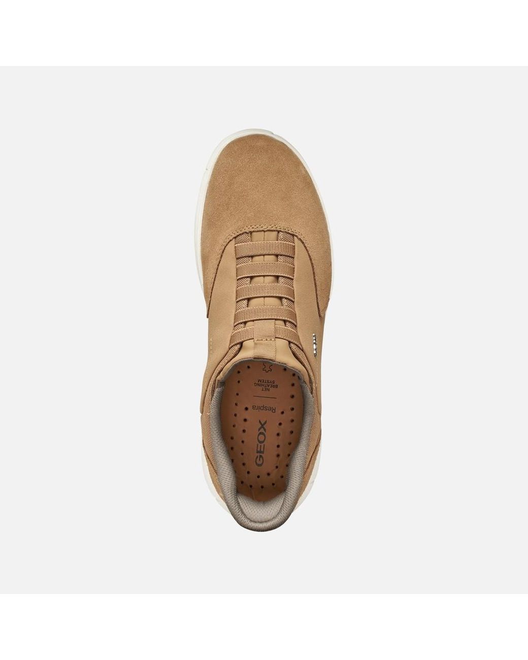 Geox Brown Nebula 2.0 Plus for men