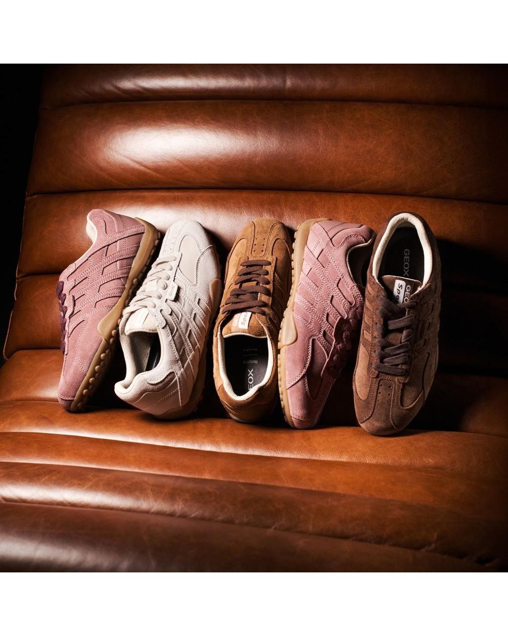 Geox Brown Snake